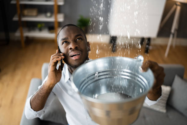 Best Sewage cleanup and water damage restoration  in Berwick, LA