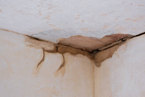 Best Carpet water damage restoration  in Berwick, LA