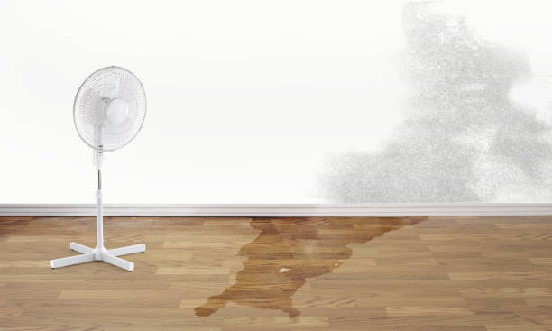 Best Flood damage cleanup  in Berwick, LA