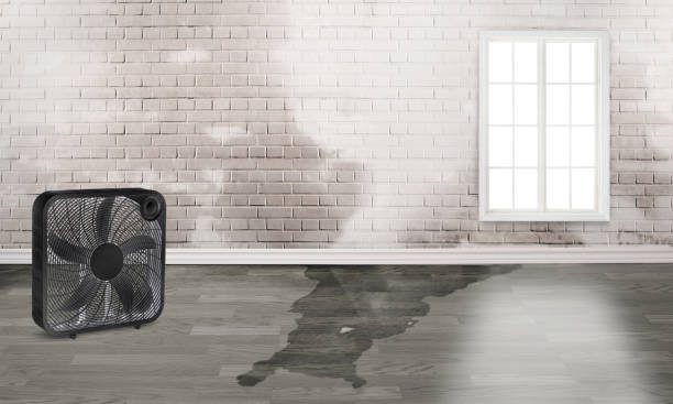 Berwick, LA Water damage restoration Company