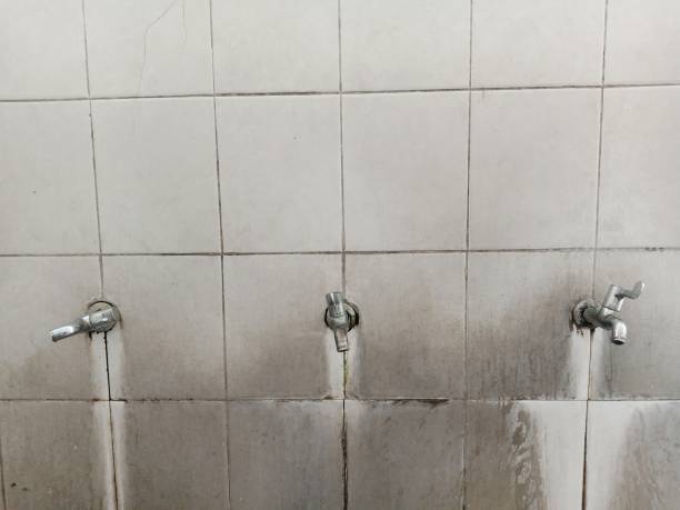  Berwick, LA Water damage restoration Pros