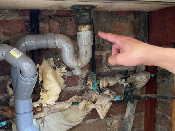 Best Basement water damage restoration  in Berwick, LA