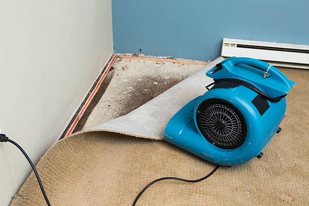 Reliable Berwick, LA Water damage restoration Solutions